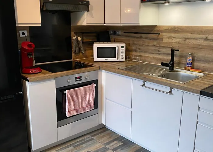 公寓 Superbe Parentale Avec Salle De Bains Privee Et Wc Prives, Wifi, Cuisine 旺德夫尔莱南锡